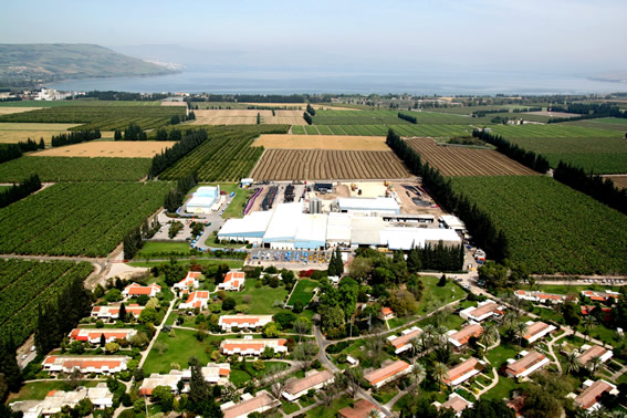 موشي ديان من مواليد إحداها وبن غوريون مدفون في أخرى: "الكيبوتس".. ما هي وما هو دورها؟ 