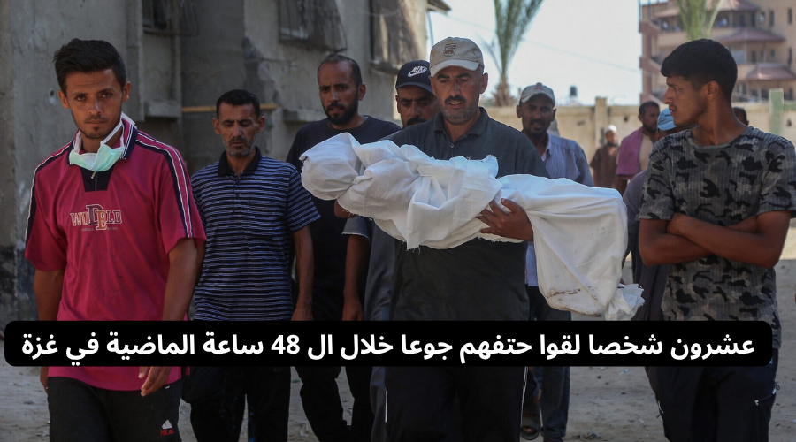 عن أرقام الجوع في غزة