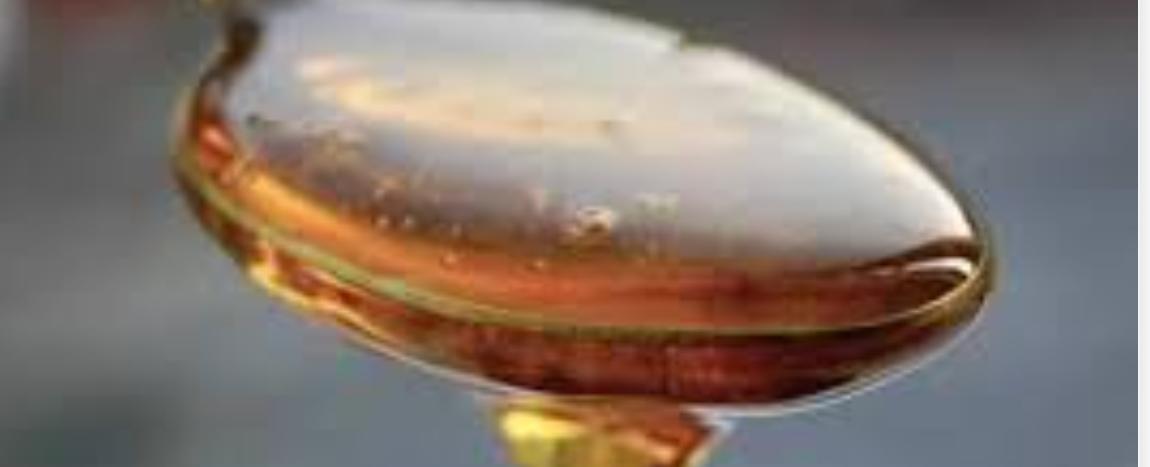 لن تصدق تأثيرها.. فوائد مذهلة لتناول ملعقة عسل صباحًا