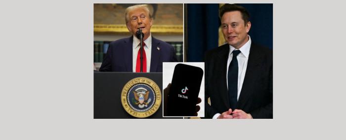 إيلون ماسك: لا أريد شراء «تيك توك»
