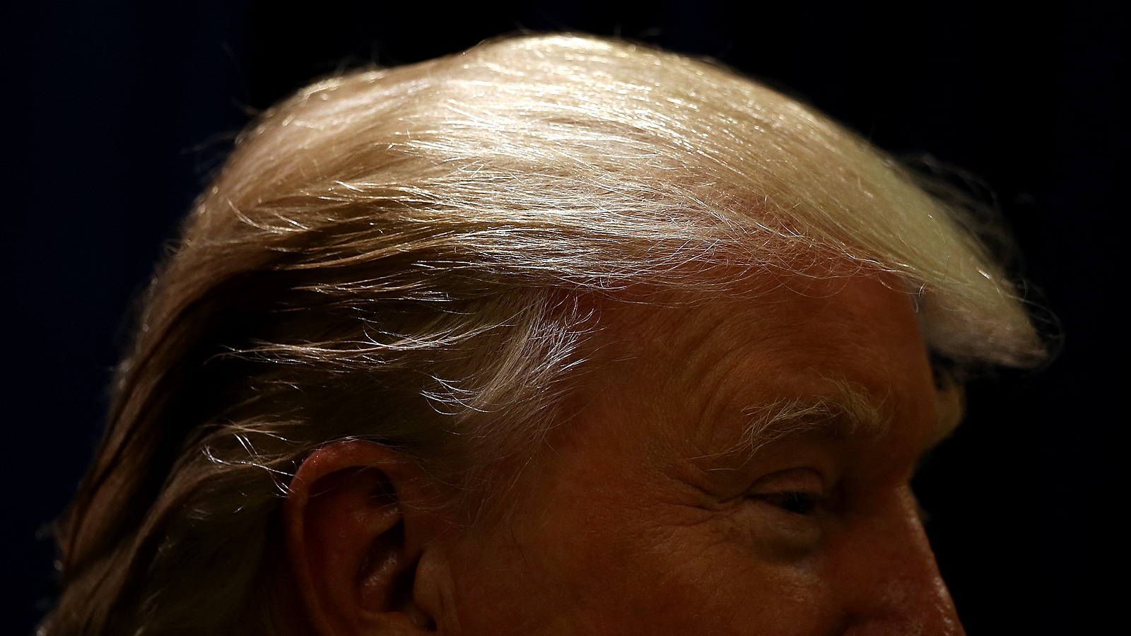 دونالد ترامب يوقع قرارا رسميا "للعناية بشعره الجميل"!