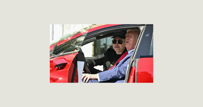 تريليونات ترمب وفلسطين