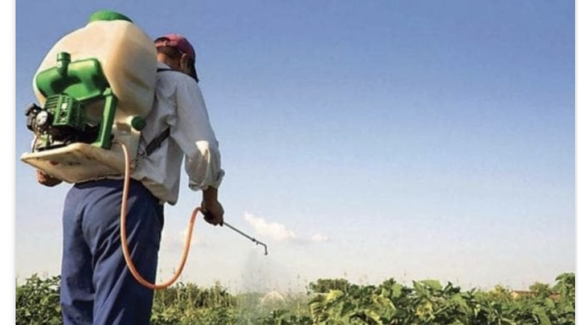 تؤدي إلى تلف دماغ الأطفال وفقدان الذاكرة..  "شبكة إجرامية" تستورد مواد زراعية مسرطنة في لبنان 