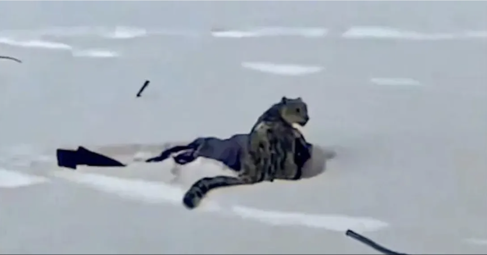 ومن الصورة ما قتل: عندما يهزم "اللايك" غريزة البقاء