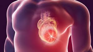 لماذا لا يصيب مرض السرطان القلب؟