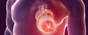 لماذا لا يصيب مرض السرطان القلب؟