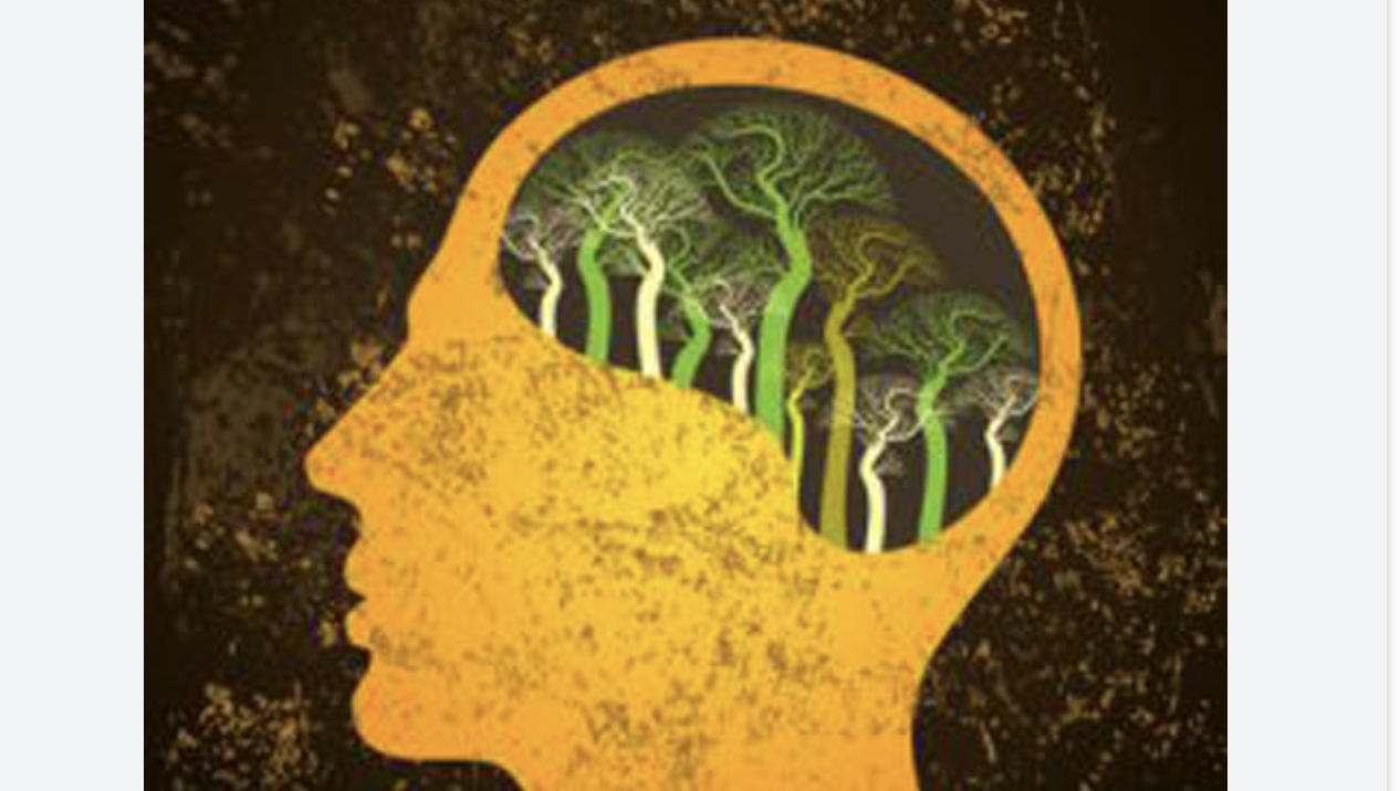 أزمة المناخ.. وتأثيرها على الصحة النفسية!