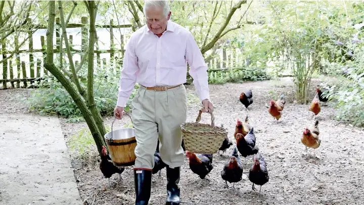 أطعمة عضوية وبيض من دجاجاته.. هذا ما يأكله الملك تشارلز 