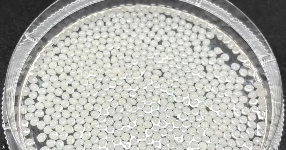 اكتشاف صيني.. مادة نباتية تثبت فعاليتها في إنقاص الوزن