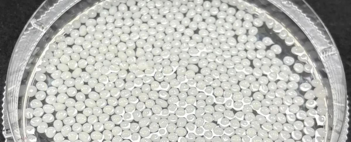 اكتشاف صيني.. مادة نباتية تثبت فعاليتها في إنقاص الوزن