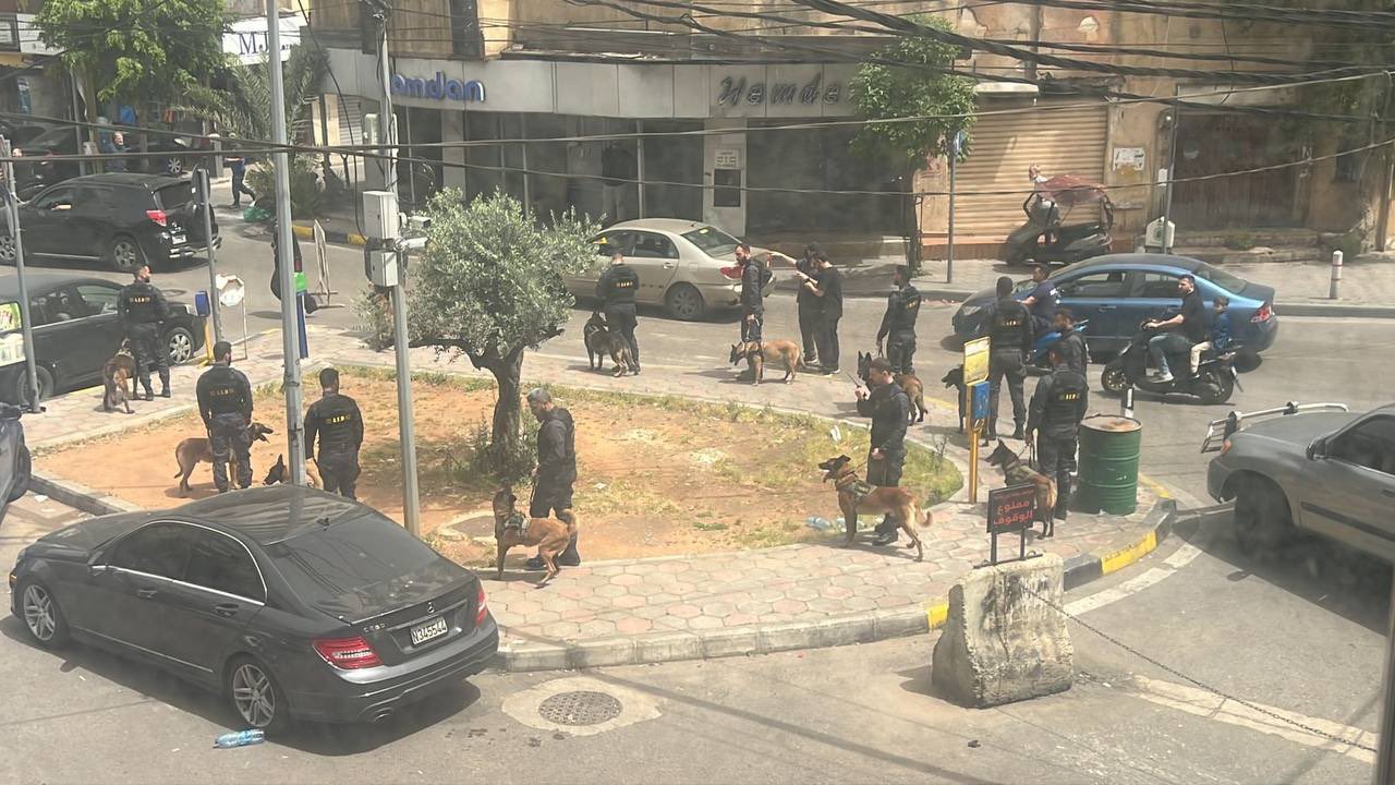 كلاب "حزب الله" في الضاحية