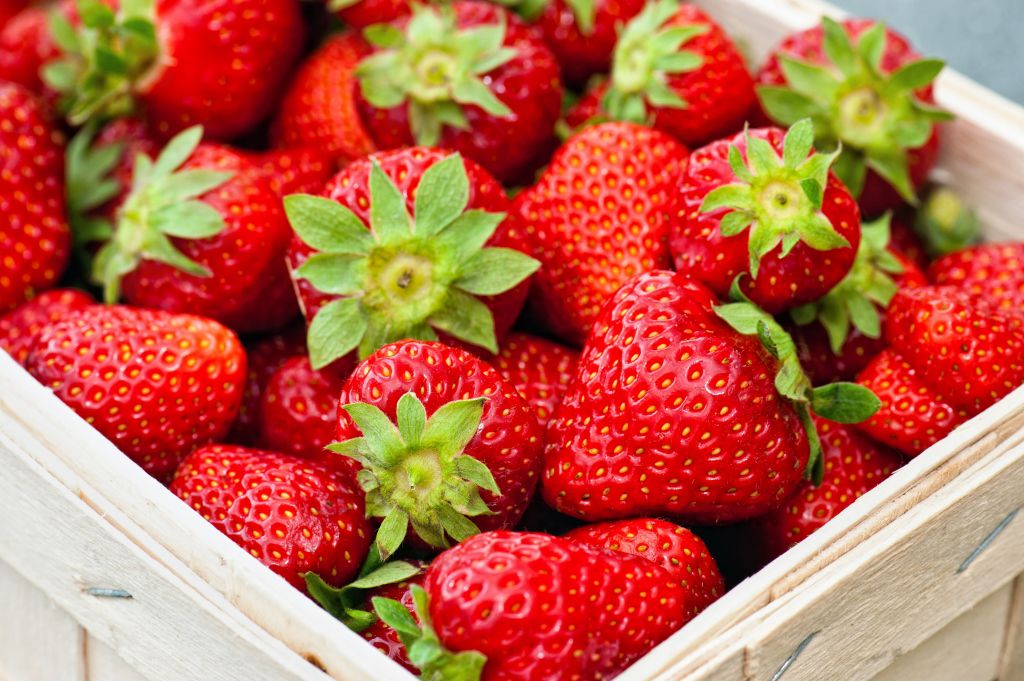 منها حماية القلب وإبطاء شيخوخة الدماغ.. تعرّفوا على الفوائد المذهلة لهذه الفاكهة 