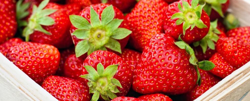 منها حماية القلب وإبطاء شيخوخة الدماغ.. تعرّفوا على الفوائد المذهلة لهذه الفاكهة