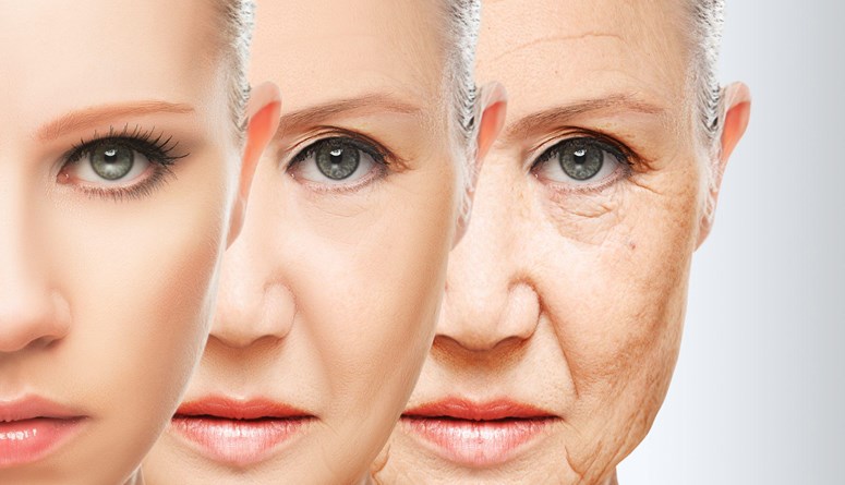 الشعور بالجوع يسهم في تباطؤ وتيرة الشيخوخة