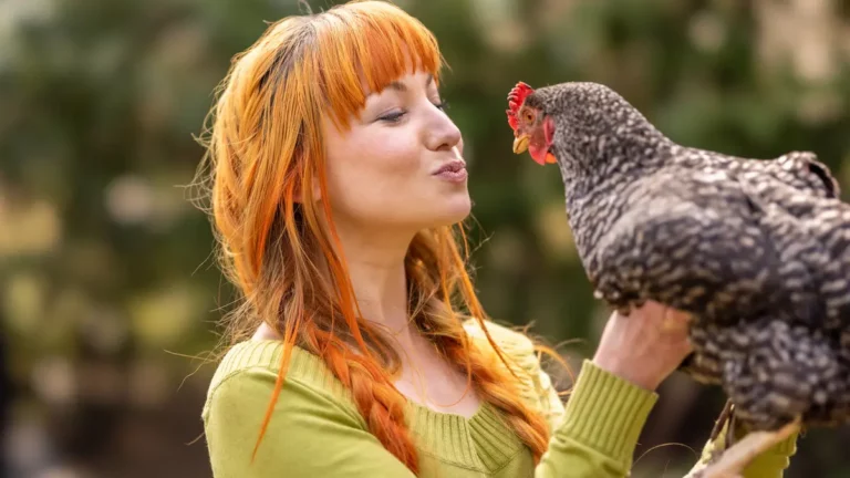 عاطفيًا.. شبه "مذهل" بين الدجاج والبشر