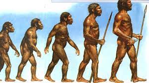 إذا كنت من المستيقظين باكرا... فأجدادك من "النياندرتال"!