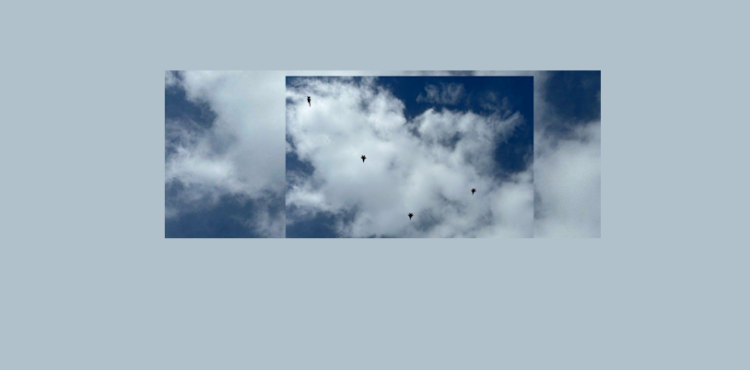 هذا ما شيّعته إسرائيل بالتزامن مع تشييع "حزب الله" لنصرالله وصفي الدين