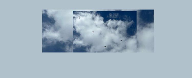 هذا ما شيّعته إسرائيل بالتزامن مع تشييع "حزب الله" لنصرالله وصفي الدين