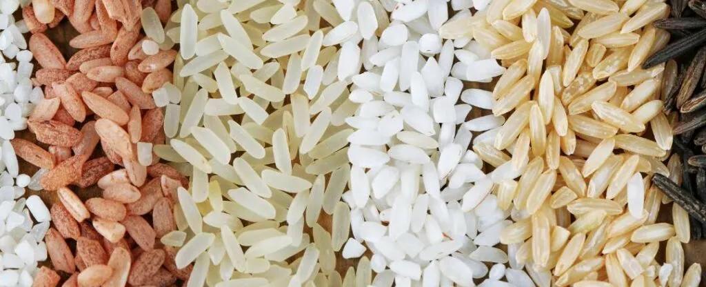 لا تعد تسخين الأرز... تهديد خفي في انتظارك