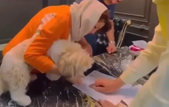 بعد بيع شقة لكلب.. شرطة إيران تعتقل رئيس شركة عقارية