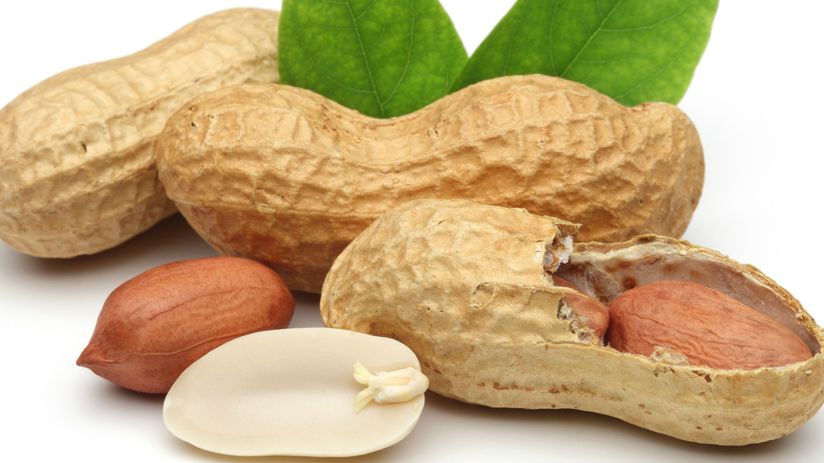 ٦٠ غرامًا من الفول السوداني المحمّص بقشره ..  يعزّز الذاكرة ويقوي تدفّق الدم في دماغ المسنّين