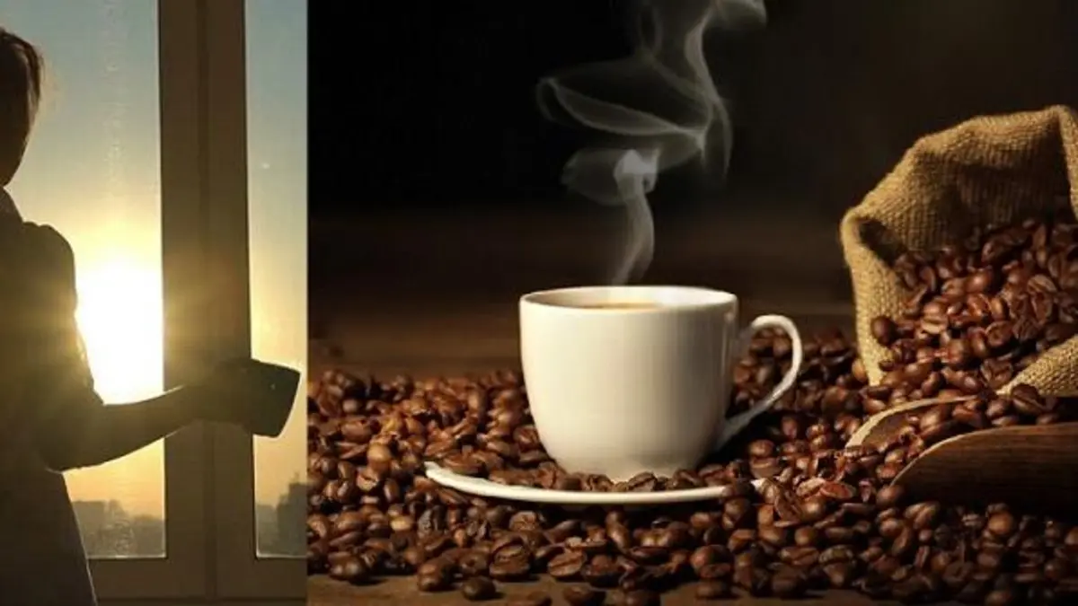 تغيّر المناخ يثير قلق قطاع صناعة القهوة