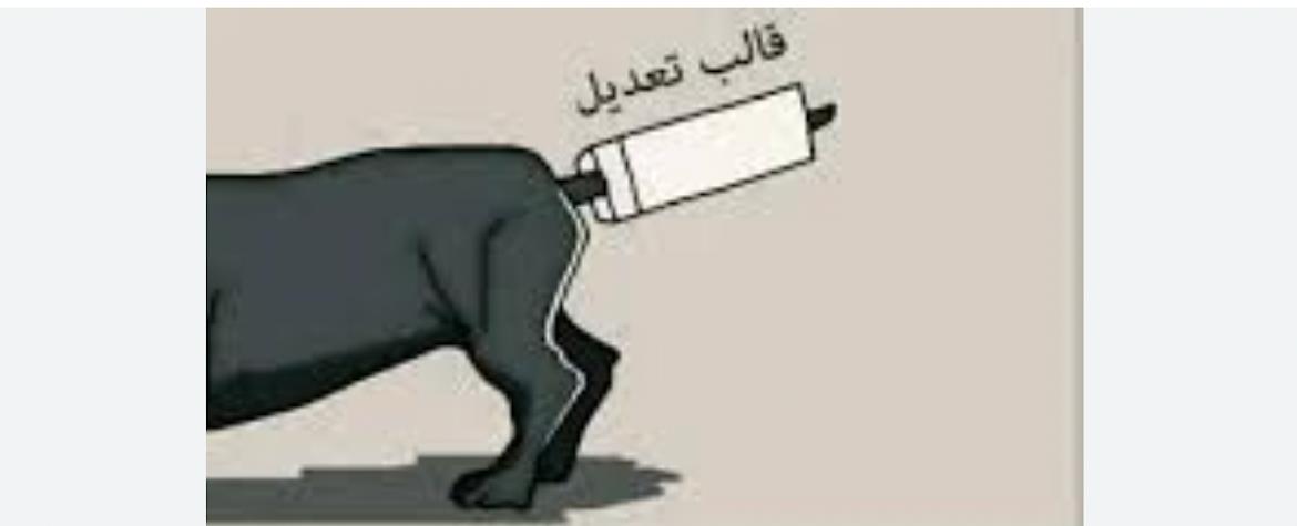 قصّة مثل اليوم مع نيوزاليست: "ذنب الكلب بضلّوا أعوج لو حطوا بالقالب ٤٠ سنة"