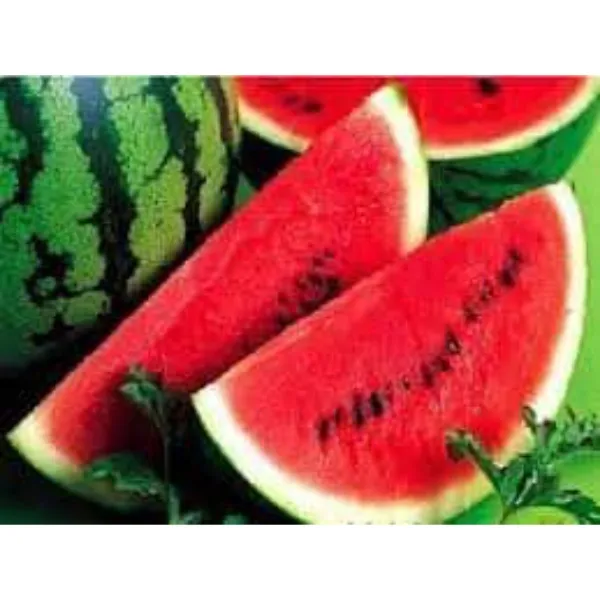 احتفظ بها للصيف.. ثلاث نصائح لاختيار حبّة بطيخ "مثالية"