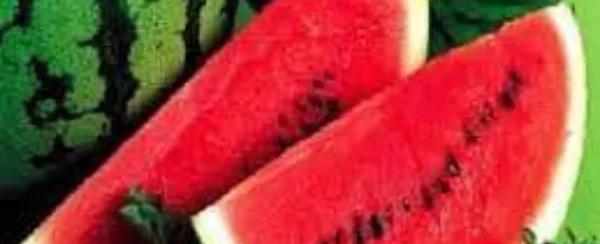 احتفظ بها للصيف.. ثلاث نصائح لاختيار حبّة بطيخ "مثالية"