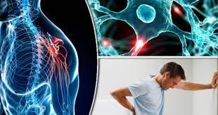 أمل جديد لمرضى التصلّب اللويحي: خلايا جذعية تحقن في الدماغ 