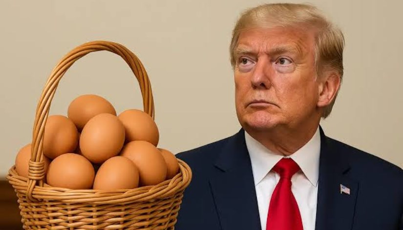   بسبب قوانين الرفق بالحيوان.. ترامب يرفع دعوى ضدّ كاليفورنيا 