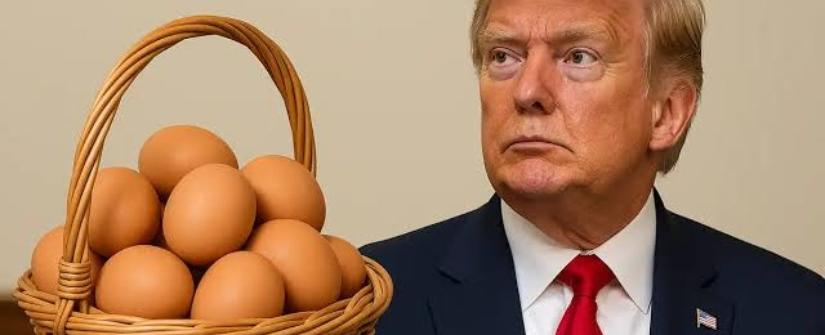 بسبب قوانين الرفق بالحيوان.. ترامب يرفع دعوى ضدّ كاليفورنيا