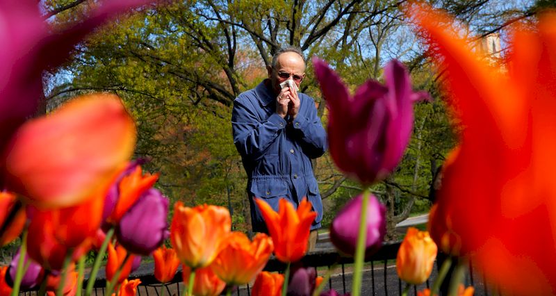 هكذا يمكنكم مواجهة حساسية الربيع