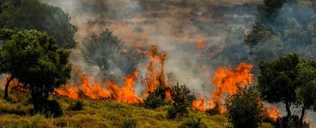 تقرير إسرائيلي شامل عن الحرائق في الجليل والجولان وخسائر المزارعين