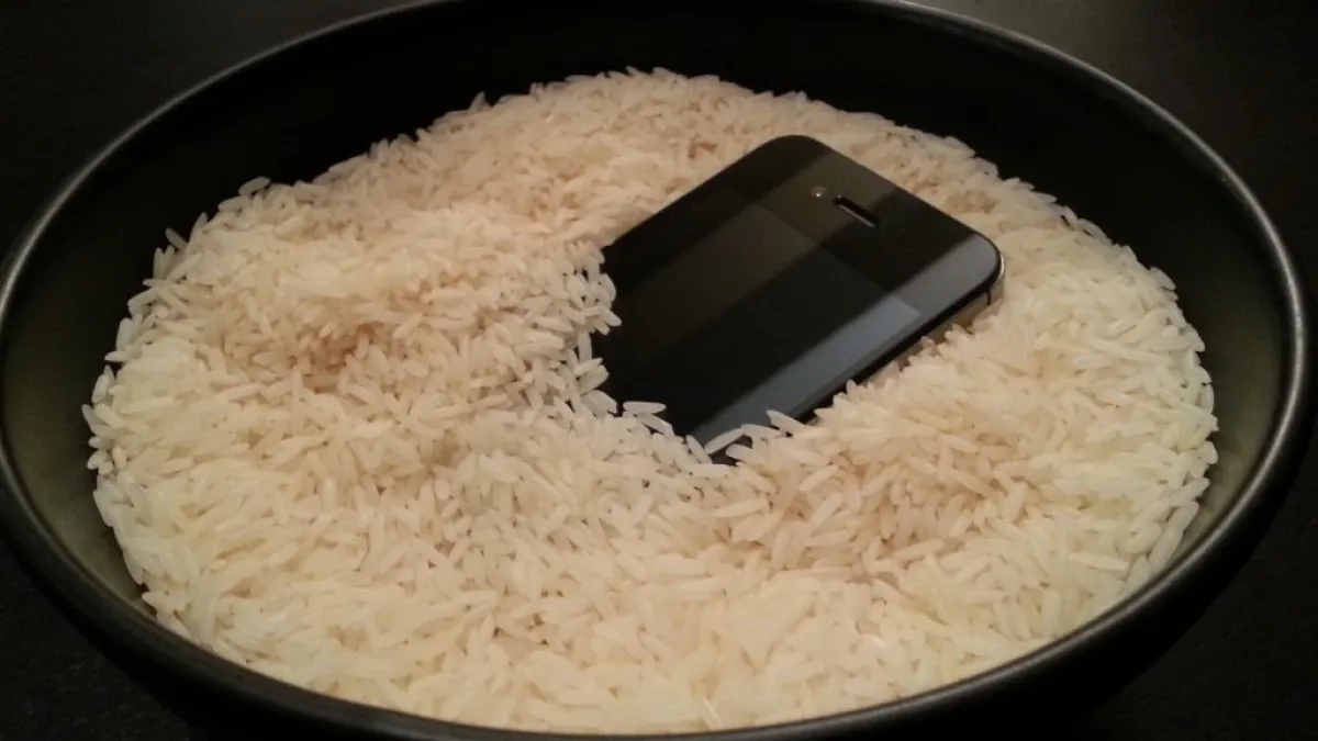 شركة "آبل" تحذّر.. إياك ووضع الهاتف المبلّل في الأرز الجاف 