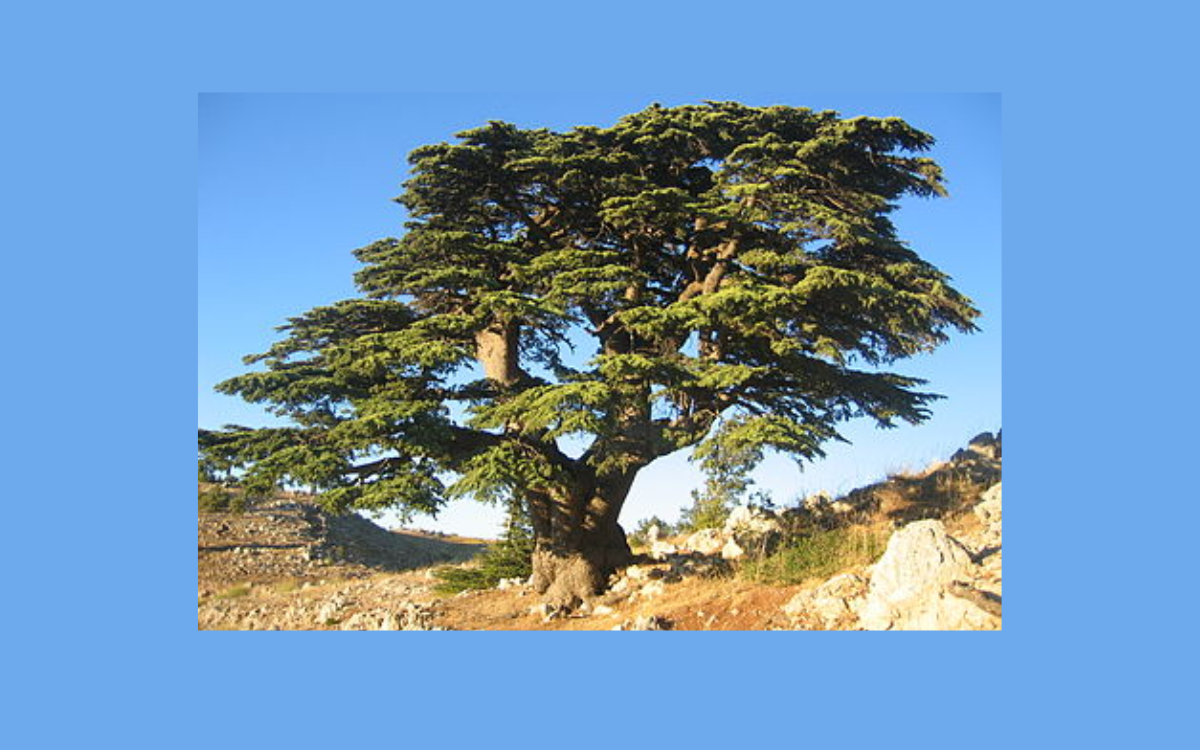  المعطيات التي تعطي العيد هذه السنة طعمًا مختلفًا وتفتح الأفق على فجر جديد ( نقاش بالصوت والصورة)