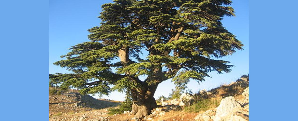 المعطيات التي تعطي العيد هذه السنة طعمًا مختلفًا وتفتح الأفق على فجر جديد ( نقاش بالصوت والصورة)