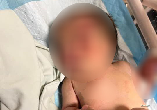 في حدث أحدث صدمة بين اللبنانيين..كلب يجرّ كيسا فيه رضيعة