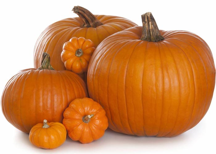 مهم للجلد والعينين وإنقاص الوزن و... فوائد أخرى تجهلونها لليقطين