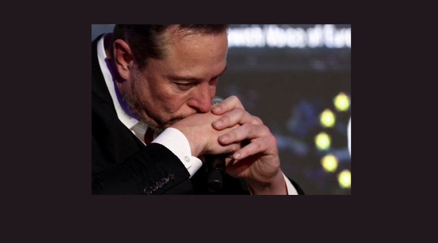 خسر ربع ثروته وسط إذلال علني.. هكذا انفجر كل شيء في وجه إيلون ماسك