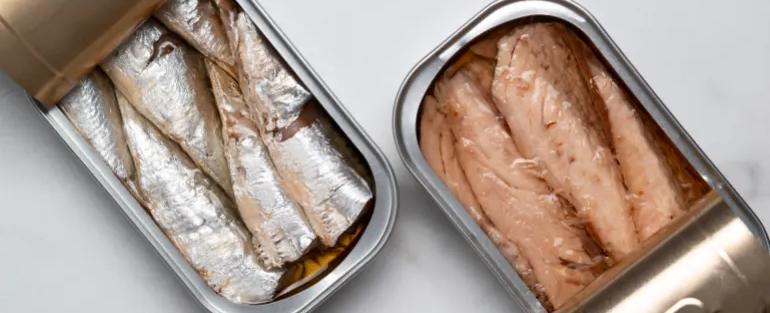 السردين المعلّب… صغيرالحجم عظيم الفعل على الدماغ