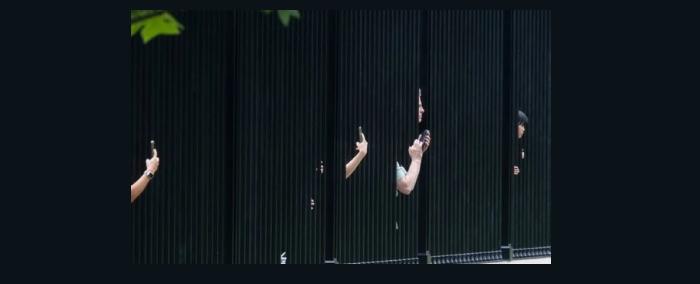 بخدعة بسيطة.. عصابات صينية تسرق مليار دولار من جيوب الاميركيين