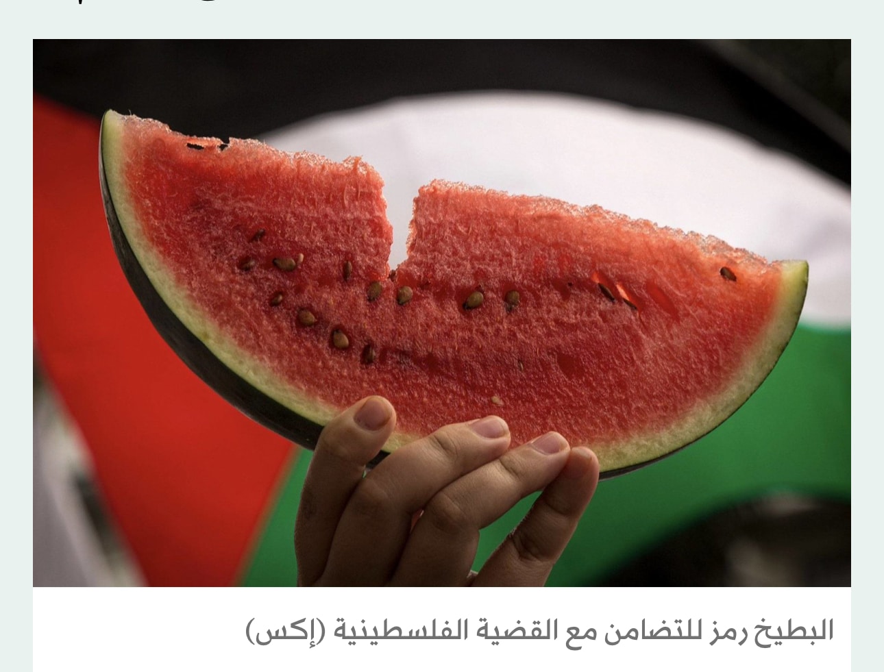 في فلسطين:التلويح بأنصاف البطيخ كبديل عن العلم المحظور