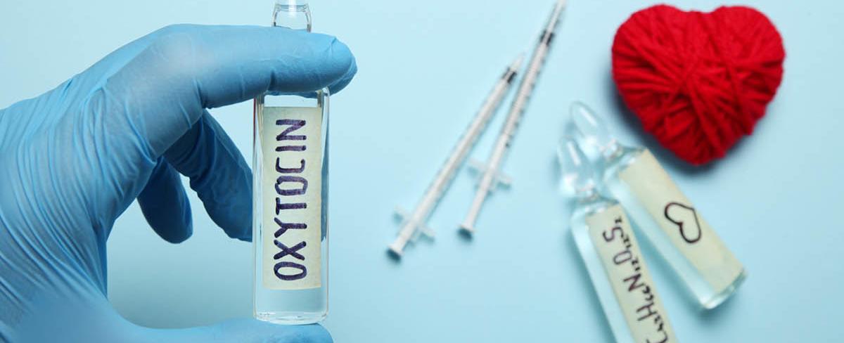 كيمياء المشاعر.. "هرمون الحب" مفتاح الترابط والود بين البشر