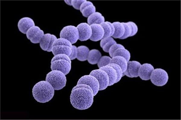 ماذا تعرف عن البكتيريا الخطيرة "آكلة اللحوم".. المسبّبة للوفاة؟