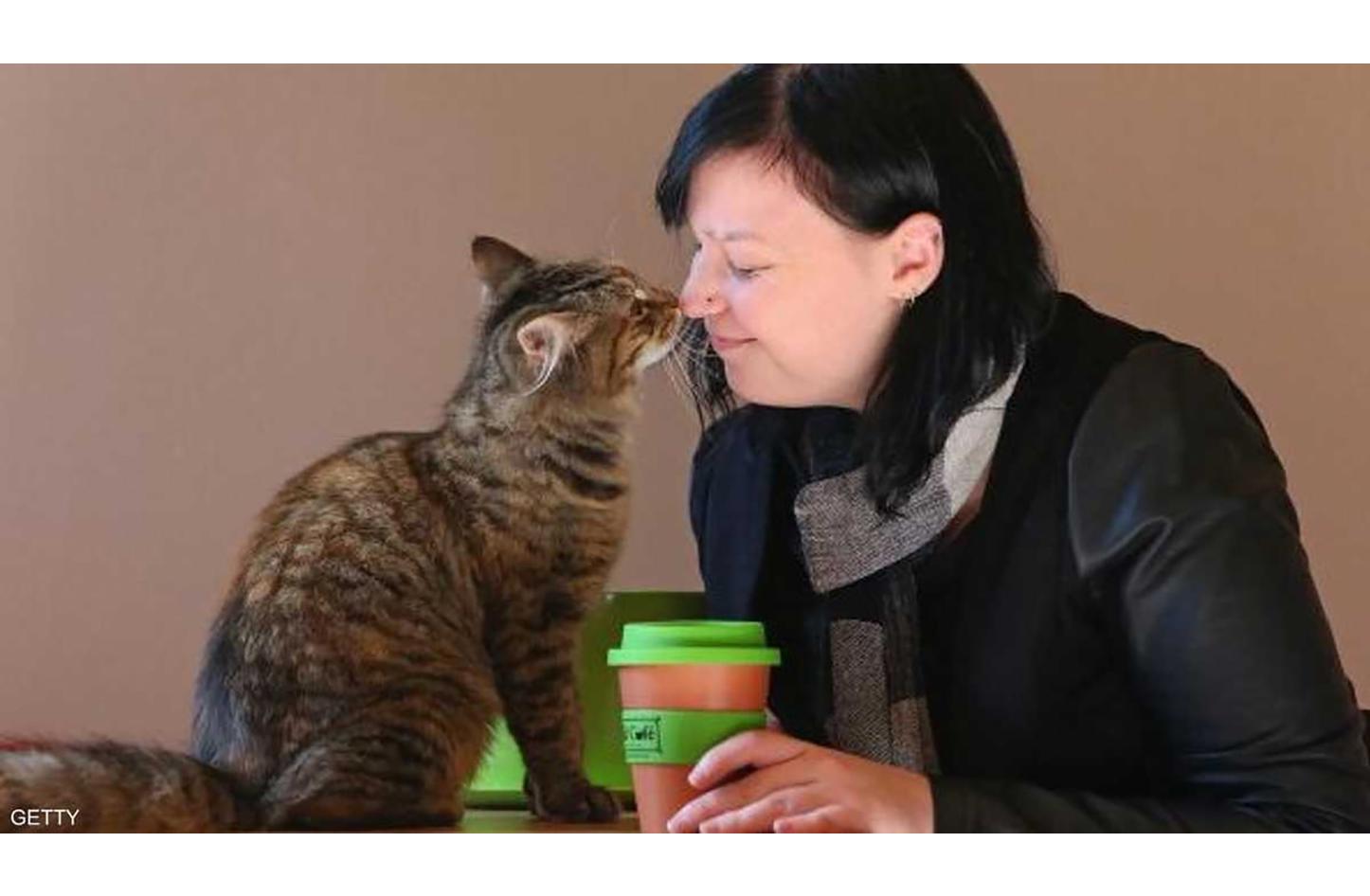 ما حقيقة ارتباط تربية القطط بالاضطرابات النفسية؟... دراسة جديدة تجيب