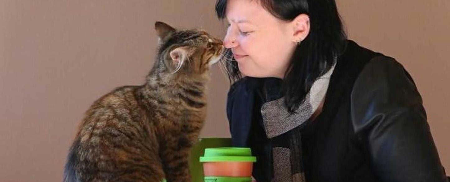 ما حقيقة ارتباط تربية القطط بالاضطرابات النفسية؟... دراسة جديدة تجيب