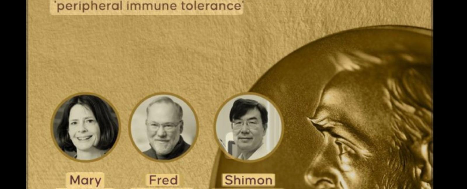 كيف يمنع الجسم نفسه من مهاجمة ذاته؟ اكتشاف علمي يفوز بجائزة نوبل للطب