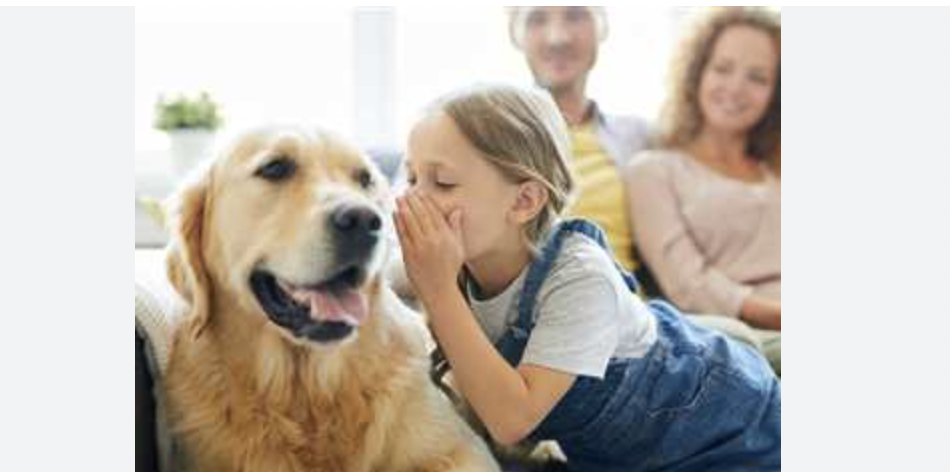 لفهم لغة الحيوانات.. مركز أبحاث بريطاني يستخدم الذكاء الاصطناعي