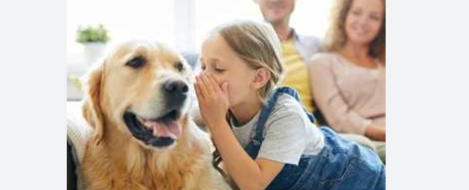 لفهم لغة الحيوانات.. مركز أبحاث بريطاني يستخدم الذكاء الاصطناعي